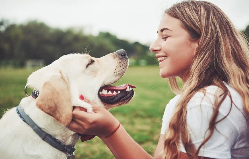 Applicable Specialties and Goodness of CBD for Pets